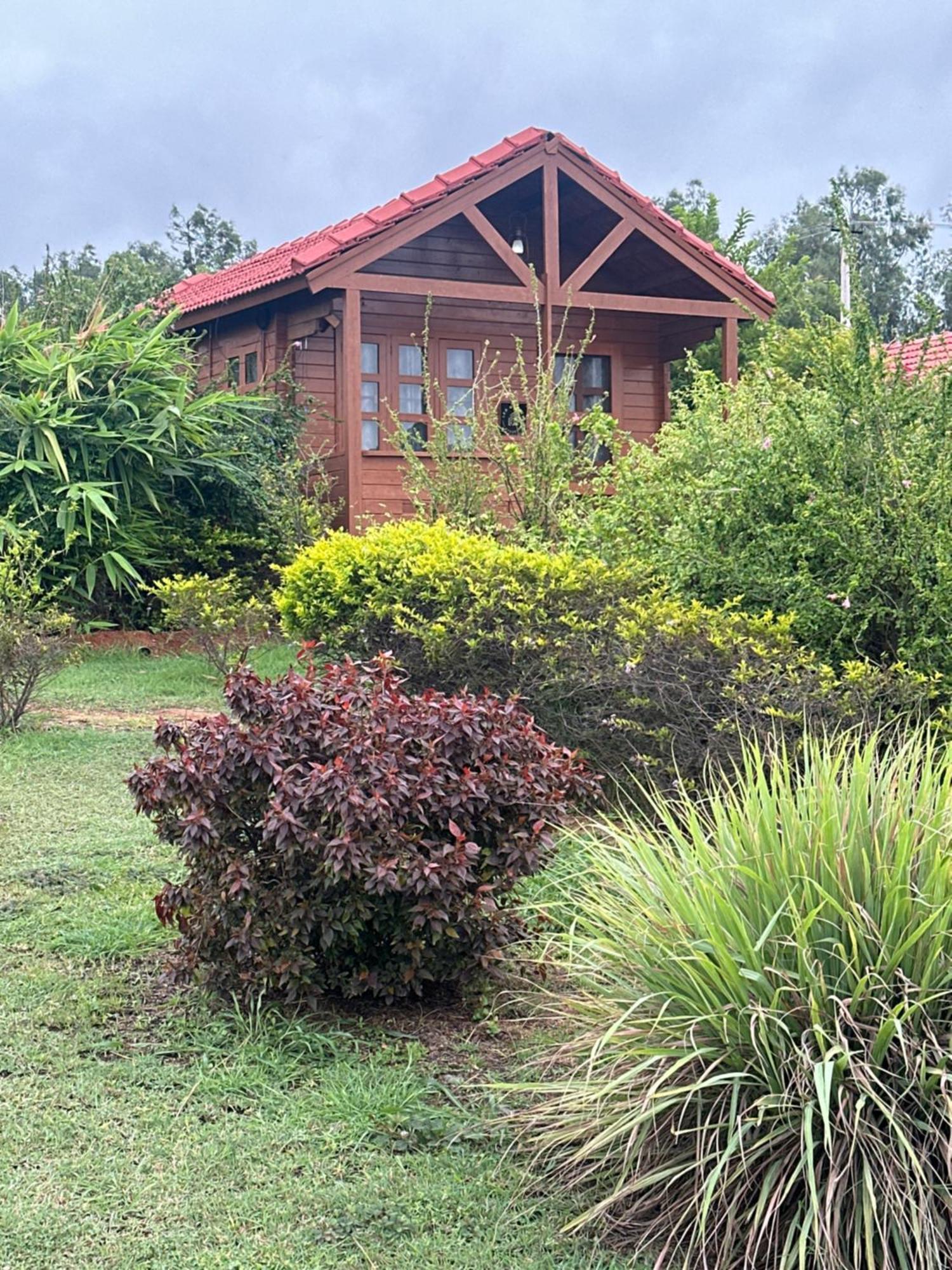 Leo Wooden Resorts Hampi Zewnętrze zdjęcie